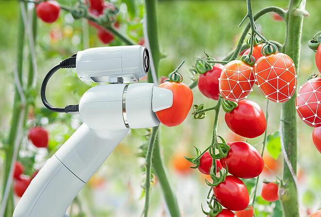 Moteur sans balai en robotique agriculture intelligente